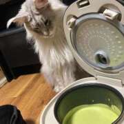 ヒメ日記 2025/02/18 21:45 投稿 ななせ 千葉人妻花壇