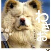 ヒメ日記 2025/04/01 17:09 投稿 ななせ 千葉人妻花壇