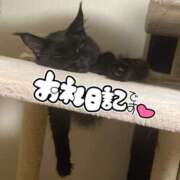 ヒメ日記 2025/04/19 23:53 投稿 ななせ 千葉人妻花壇