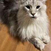 ヒメ日記 2025/04/29 22:53 投稿 ななせ 千葉人妻花壇