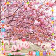 ヒメ日記 2025/04/17 16:49 投稿 しおり 完熟ばなな神戸・三宮店