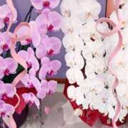 ヒメ日記 2025/05/02 08:16 投稿 しおり 完熟ばなな神戸・三宮店