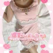 ヒメ日記 2025/02/22 19:50 投稿 はな 桃李（とうり）