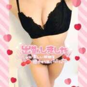 ヒメ日記 2025/02/25 07:04 投稿 はな 桃李（とうり）