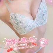 ヒメ日記 2025/02/26 07:05 投稿 はな 桃李（とうり）