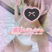 ヒメ日記 2025/03/06 17:40 投稿 はな 桃李（とうり）