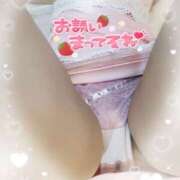 ヒメ日記 2025/03/08 18:14 投稿 はな 桃李（とうり）