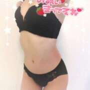 ヒメ日記 2025/03/19 06:54 投稿 はな 桃李（とうり）