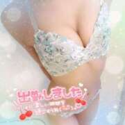 ヒメ日記 2025/03/20 07:04 投稿 はな 桃李（とうり）