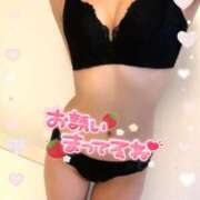 ヒメ日記 2025/04/12 07:04 投稿 はな 桃李（とうり）