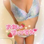 ヒメ日記 2025/04/19 06:54 投稿 はな 桃李（とうり）