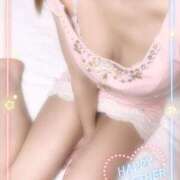 ヒメ日記 2025/04/19 23:34 投稿 はな 桃李（とうり）