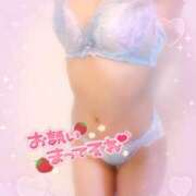 ヒメ日記 2025/04/25 07:19 投稿 はな 桃李（とうり）