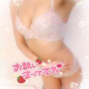 ヒメ日記 2025/05/04 06:54 投稿 はな 桃李（とうり）