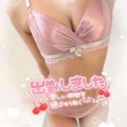 ヒメ日記 2025/05/19 07:44 投稿 はな 桃李（とうり）