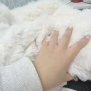 ヒメ日記 2025/03/26 13:32 投稿 YUZUKI アイドルオーディション