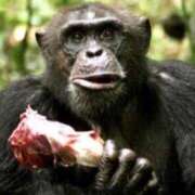 ヒメ日記 2025/03/19 17:00 投稿 椎名　ことり ギン妻パラダイス 谷九店