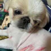 ヒメ日記 2025/04/17 22:58 投稿 椎名　ことり ギン妻パラダイス 谷九店