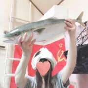 ヒメ日記 2025/04/19 17:39 投稿 椎名　ことり ギン妻パラダイス 谷九店