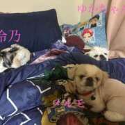 ヒメ日記 2025/05/02 12:37 投稿 椎名　ことり ギン妻パラダイス 谷九店