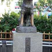 ヒメ日記 2025/05/05 15:44 投稿 椎名　ことり ギン妻パラダイス 谷九店