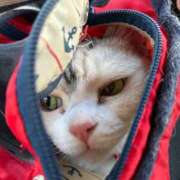 ヒメ日記 2025/12/15 21:08 投稿 椎名　ことり ギン妻パラダイス 谷九店