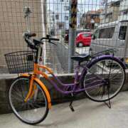 ヒメ日記 2026/01/04 13:12 投稿 椎名　ことり ギン妻パラダイス 谷九店