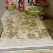 ヒメ日記 2026/03/26 20:10 投稿 椎名　ことり ギン妻パラダイス 谷九店