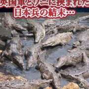 ヒメ日記 2026/03/30 00:01 投稿 椎名　ことり ギン妻パラダイス 谷九店