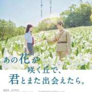 椎名　ことり あの花が咲く岡で君とまた出会えたら ギン妻パラダイス 谷九店