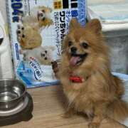 ヒメ日記 2026/06/13 21:07 投稿 椎名　ことり ギン妻パラダイス 谷九店