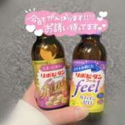 ヒメ日記 2025/02/09 10:15 投稿 せな ダイスキ