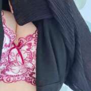 ヒメ日記 2025/08/21 19:37 投稿 せな ダイスキ