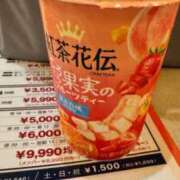 ヒメ日記 2025/09/12 09:25 投稿 せな ダイスキ