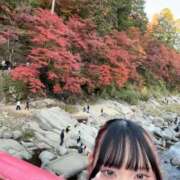 ヒメ日記 2025/12/11 03:01 投稿 せな ダイスキ