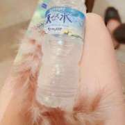 ヒメ日記 2025/12/29 21:25 投稿 せな ダイスキ