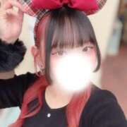 ヒメ日記 2025/12/30 11:52 投稿 せな ダイスキ