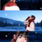 ヒメ日記 2026/01/13 17:20 投稿 せな ダイスキ