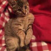 ヒメ日記 2026/01/15 18:29 投稿 せな ダイスキ