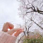 ヒメ日記 2026/04/09 10:01 投稿 せな ダイスキ