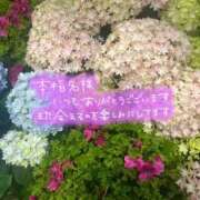 笠松あず 3/29ありがとうございます✨ 禁断のメンズエステR-18堺・南大阪店