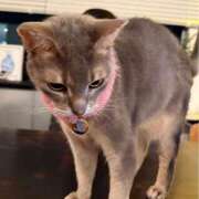 ヒメ日記 2025/03/02 15:01 投稿 牡丹(ぼたん) 人妻城 横浜本店