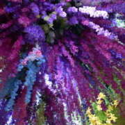 ヒメ日記 2026/03/09 15:19 投稿 ゆうき 僕のぽっちゃり伝説