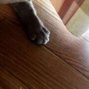 ヒメ日記 2025/03/23 14:35 投稿 エル♀ ドMな団地妻 名古屋・池下店