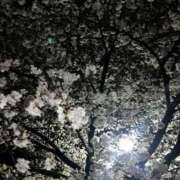 ヒメ日記 2025/04/05 00:24 投稿 エル♀ ドMな団地妻 名古屋・池下店