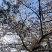 ヒメ日記 2025/04/10 11:55 投稿 エル♀ ドMな団地妻 名古屋・池下店