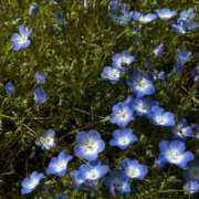 ヒメ日記 2025/05/06 22:48 投稿 エル♀ ドMな団地妻 名古屋・池下店