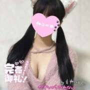 ヒメ日記 2025/02/22 12:14 投稿 みらい BUNNY（バニー）十三店