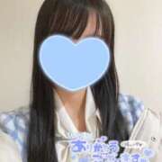 ヒメ日記 2025/02/23 00:10 投稿 みらい BUNNY（バニー）十三店