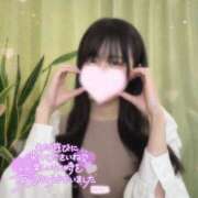 ヒメ日記 2025/03/16 19:00 投稿 みらい BUNNY（バニー）十三店